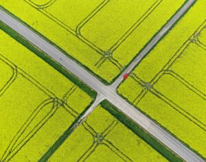 Emerging Markets in 2026: Why One Size No Longer Fits All