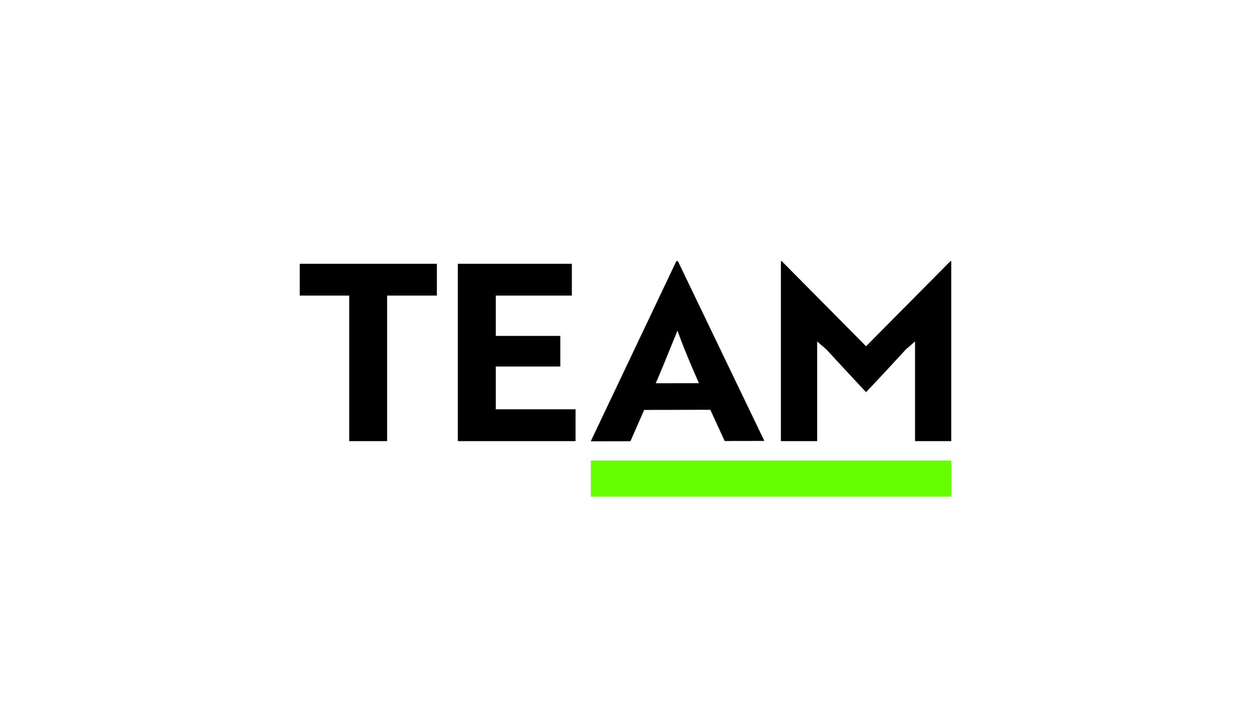 TEAM Asset Management